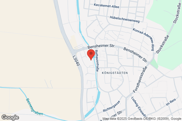 Taxischnell Rüsselsheim