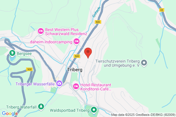 Schwarzwald-Gymnasium Triberg