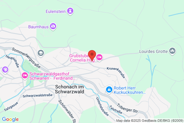Pension Schanzenblick