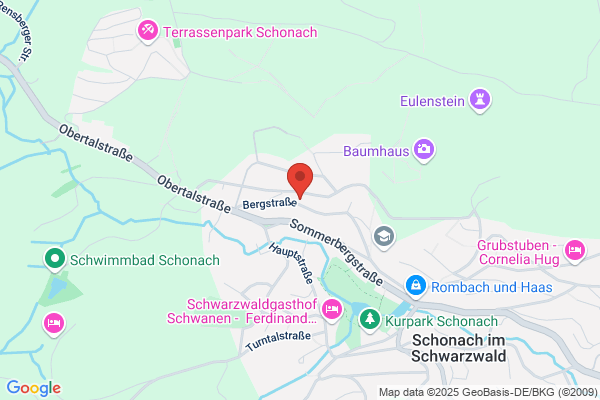 Malergeschäft Börsig