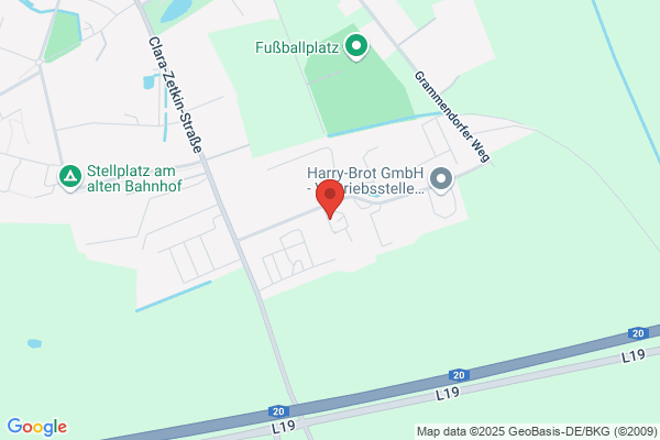 Döring