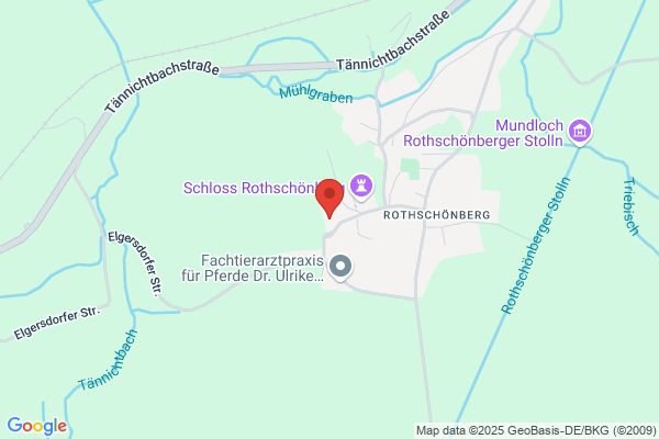 Schlesinger