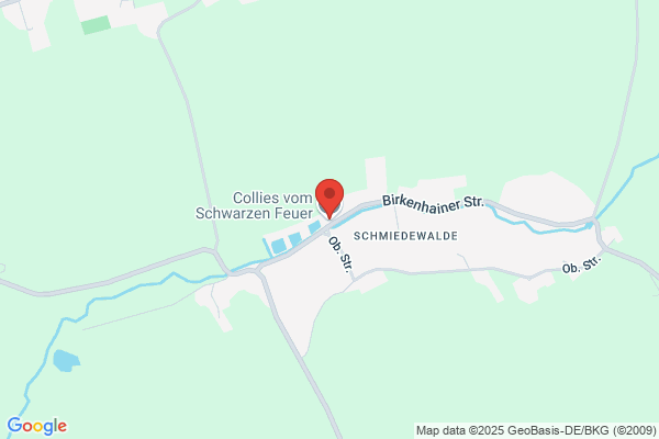 Zwinger von der Beyerhöhe Klaus von Both
