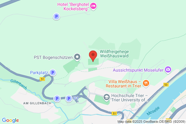 Am Waldstadion