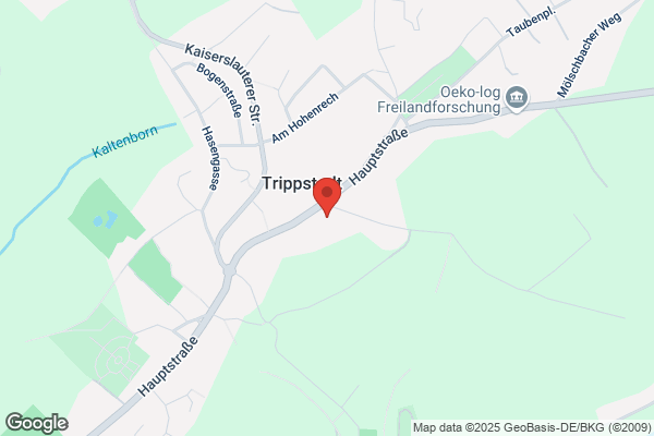Aktiv Markt Trippstadt