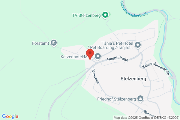 Feuerwehrhaus Stelzenberg