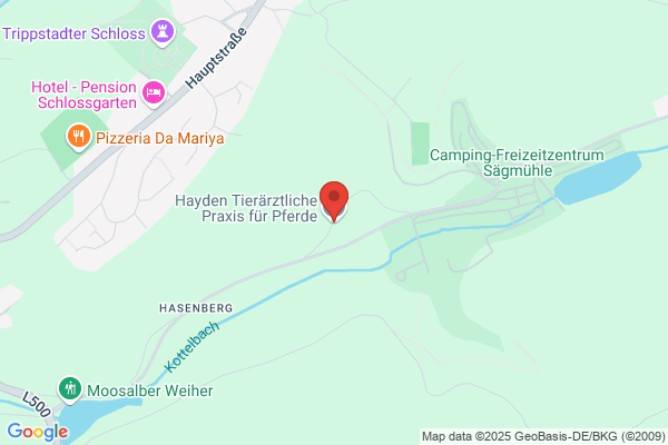Hayden Tierärztliche Praxis für Pferde