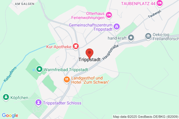 Ortsbürgermeister