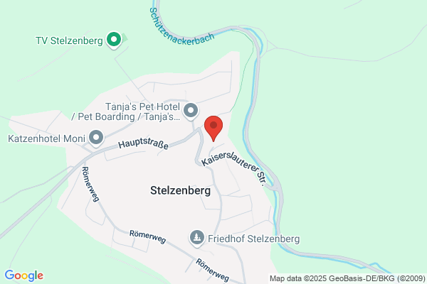 Protestantische Kirche Stelzenberg - Prot. Kirchengemeinde Trippstadt