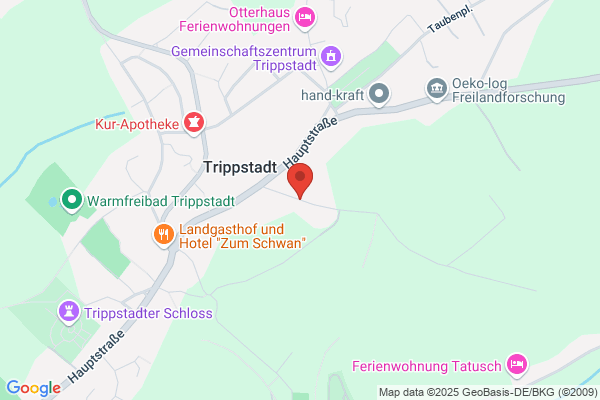 Verein für Deutsche Schäferhunde (SV) e.V. Ortsgruppe Trippstadt