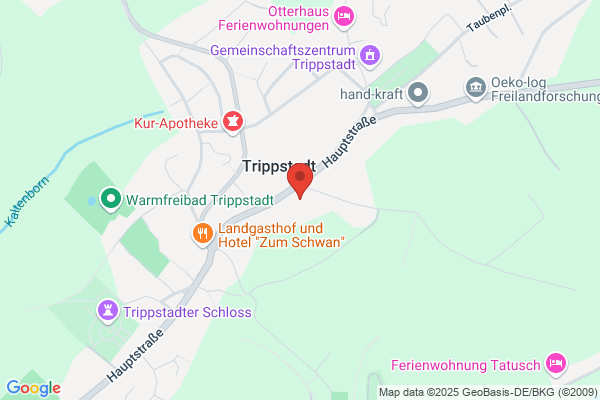 Wasgau Frischemarkt