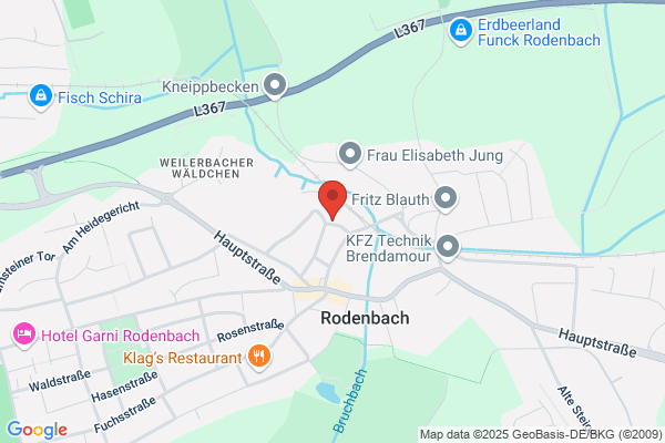pc -service trippstadt Maus Bernd