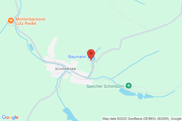 Baumann GmbH