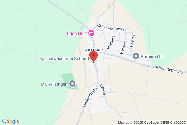 Lothar Schmid, Fidel Schmid