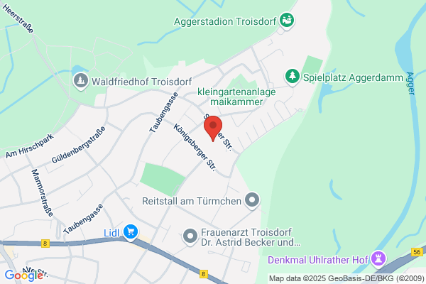 Individual Concept of Coaching Troisdorf