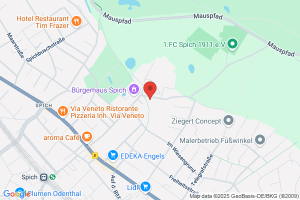 CASA VITALIS | Praxis für Physiotherapie, Osteopathie und Naturheilkunde