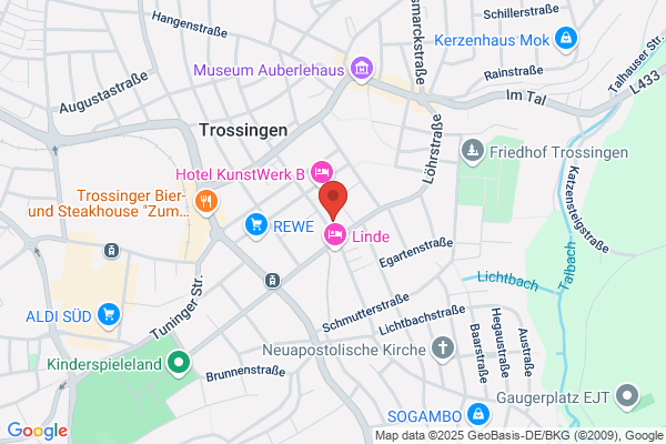 Hohner Konservatorium