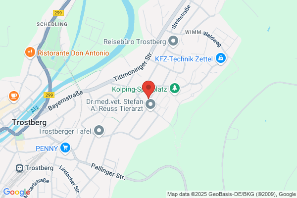 Team-Immobilien