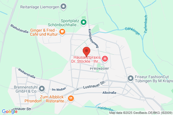 Dipl.-Ing. (FH) Heiner Maier-Linden