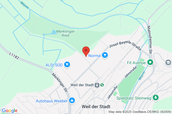TÜBINGER TREUHAND Gesellschaftf.Haus-u.Vermög.GmbH & Co. KG