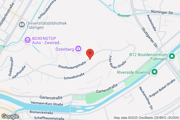 Webagentur Neo