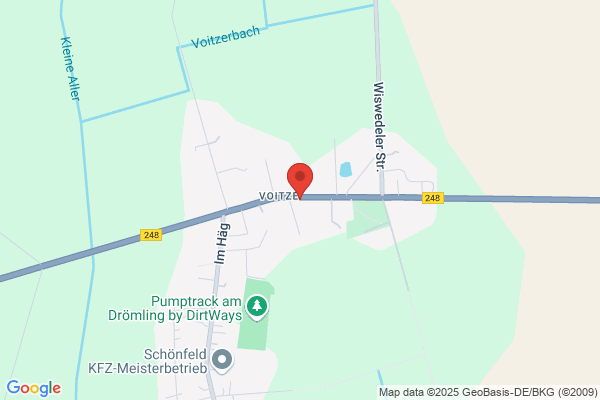 Die Edelkastanie