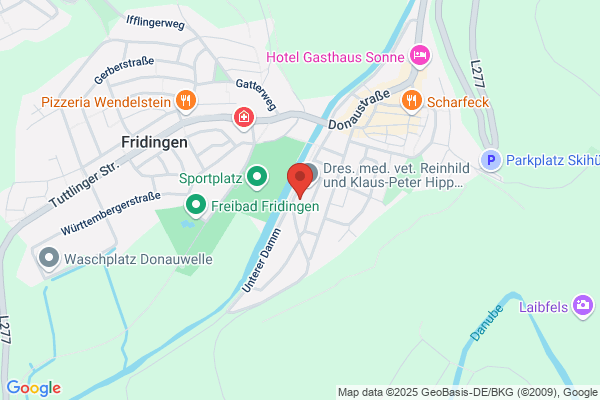COMEG Endoskopie GmbH & Co.KG