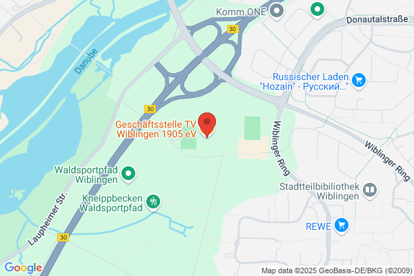 TV Wiblingen Momir Visnijc