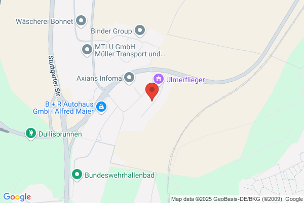 Denzhorn Business Intelligence GmbH