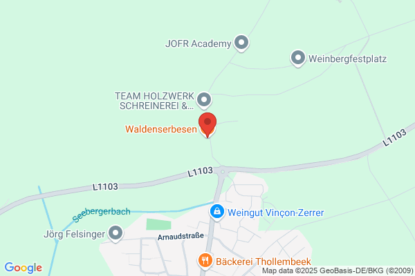 Walser + Schwaderer GmbH