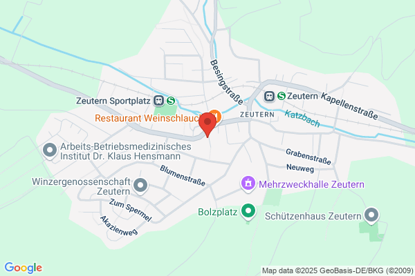 Musik- und Kunstschule (Zeu)