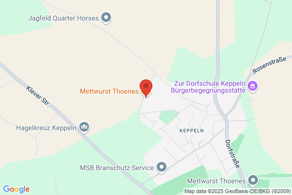 Mettwurst Thoenes GbR