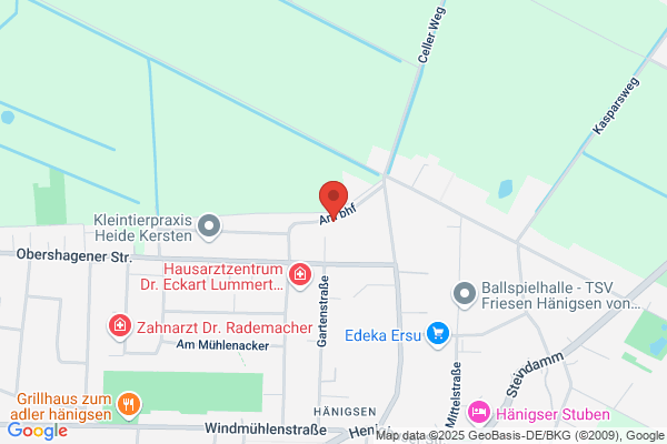 Eschholz