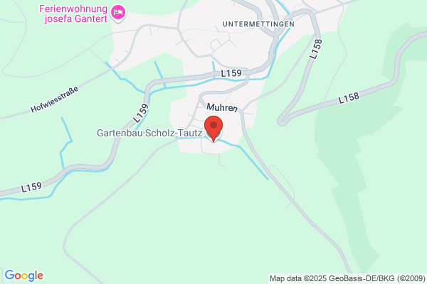 Scholz-Tautz