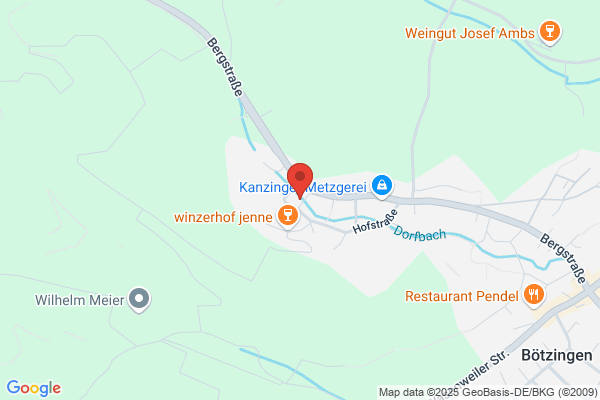 ERGO Versicherung Frank Bühler
