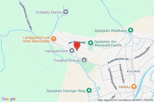 B.I.S. Bau & Immobilien Schemmer GmbH