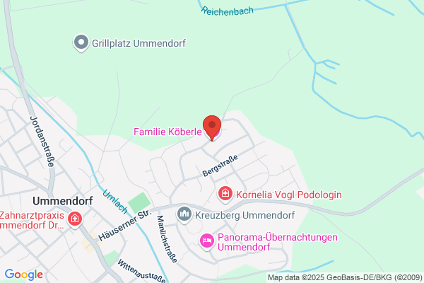 ILEV GmbH Internationale Lizenzen, Entwicklung + Verwertung