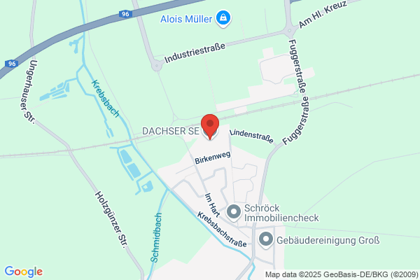 Dopfer Otto