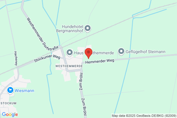 Fisahn