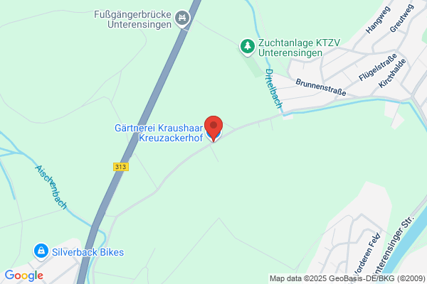 Kraushaar