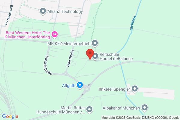 Matzinger GmbH