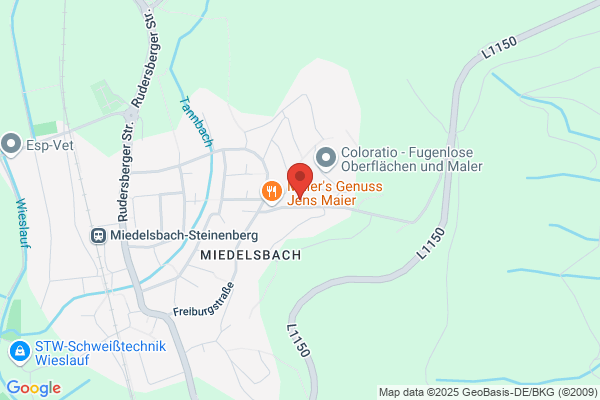 embedded electronic solutions GmbH