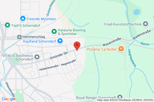 Renz Ingenieurgesellschaft mbH & Co. KG