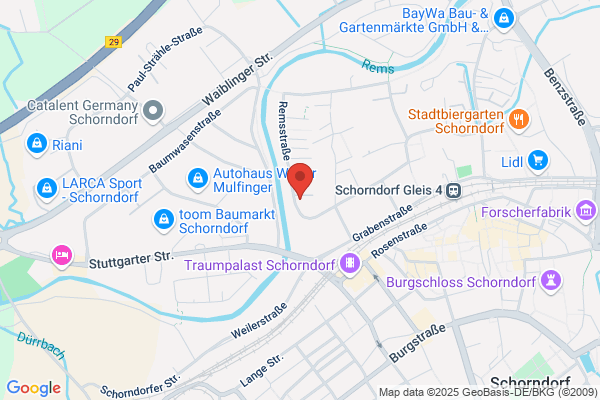 Schweizer Consult