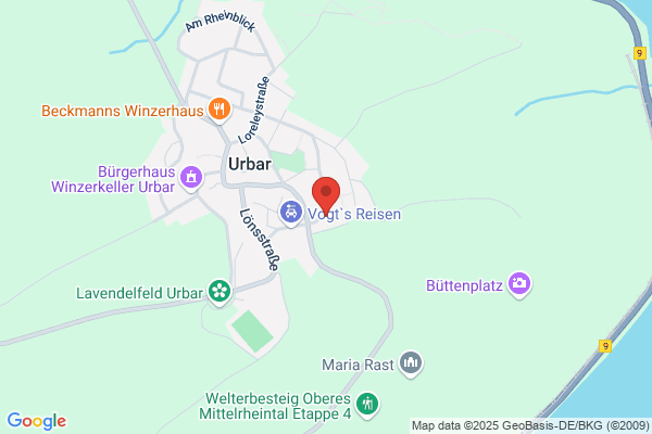 Hans-Peter Müller