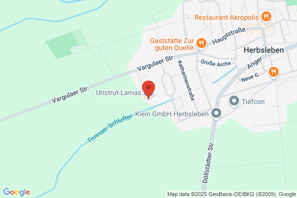Unstrut-Lamas