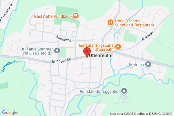 Blumen Vergissmeinnicht