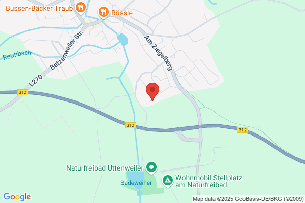 Internet-Dienstleistungsagentur