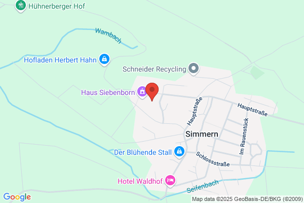 Alten- und Pflegeheim Haus Simmern GmbH