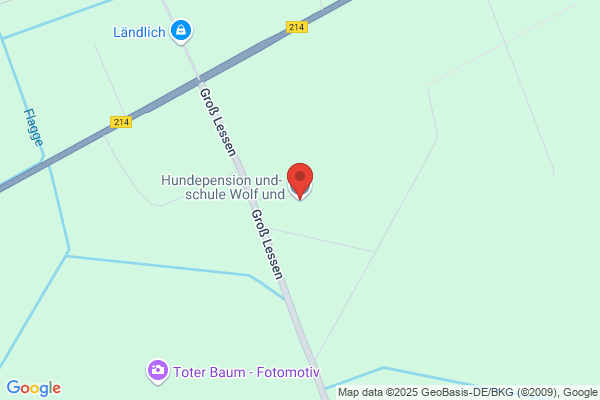 Hundepension und- schule Wolf und Co